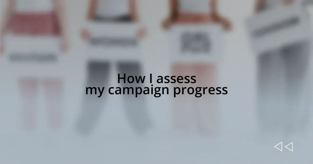 How I assess my campaign progress