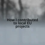 How I contributed to local EU projects