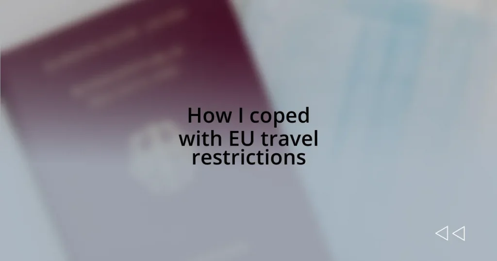 How I coped with EU travel restrictions