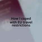 How I coped with EU travel restrictions