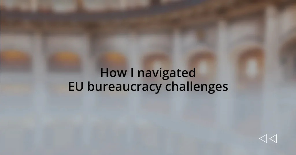 How I navigated EU bureaucracy challenges