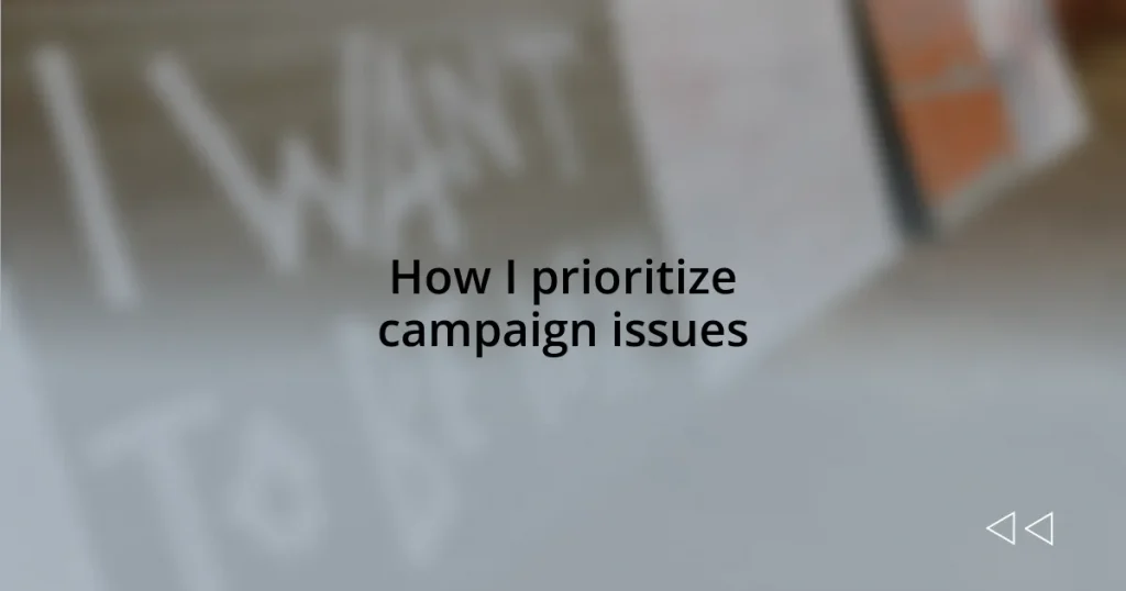 How I prioritize campaign issues