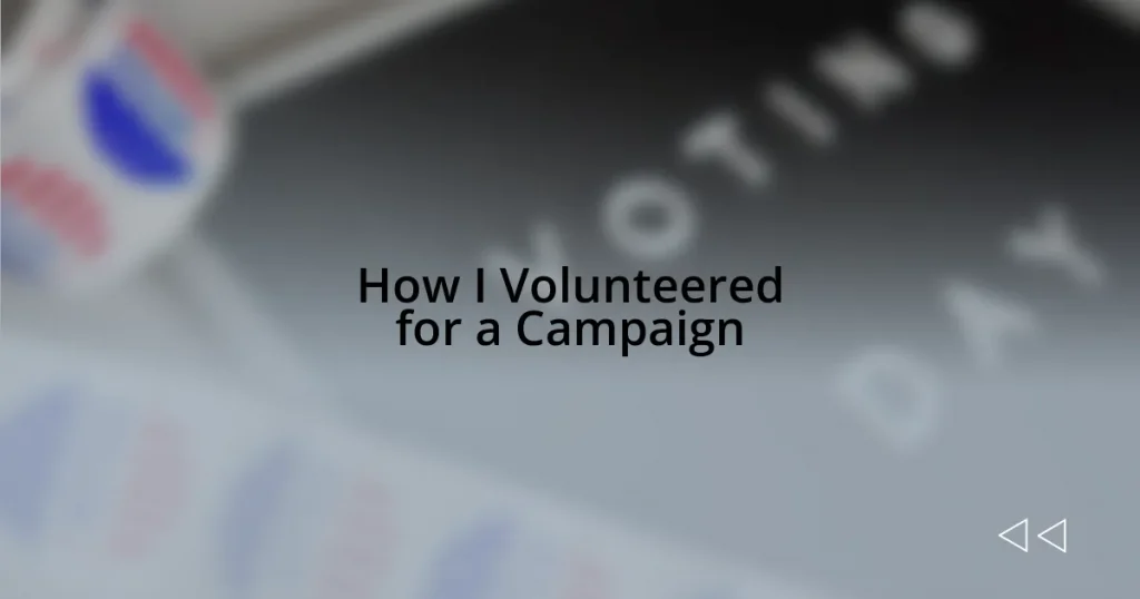 How I Volunteered for a Campaign