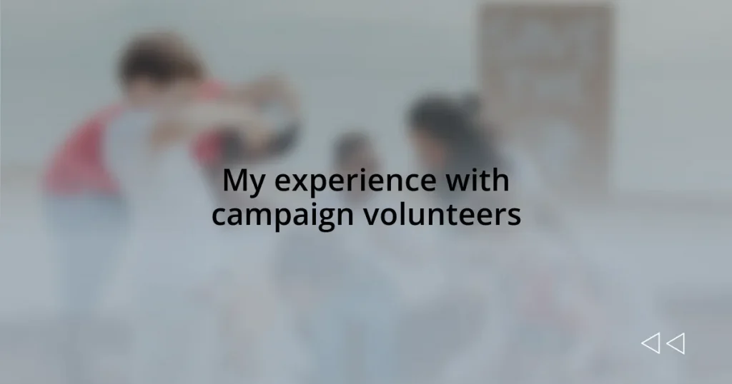 My experience with campaign volunteers
