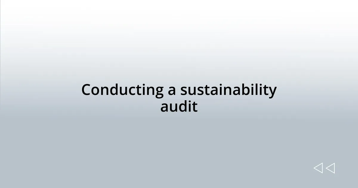 Conducting a sustainability audit