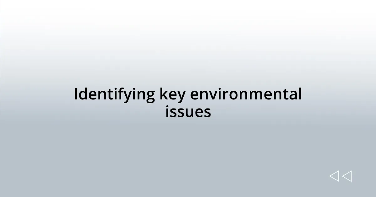 Identifying key environmental issues