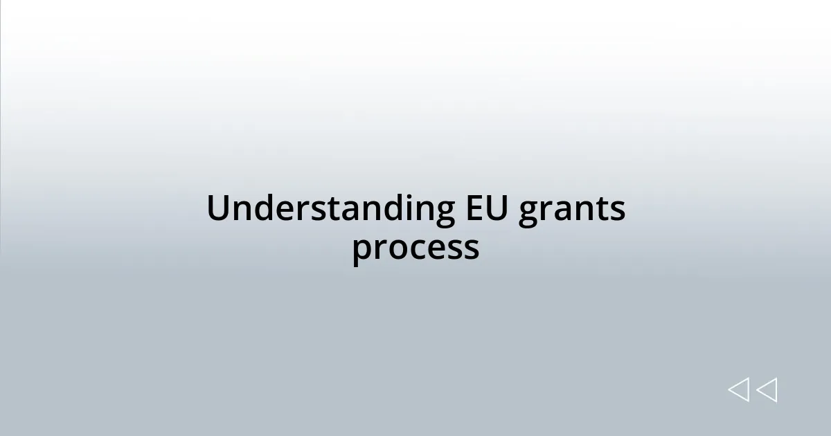 Understanding EU grants process