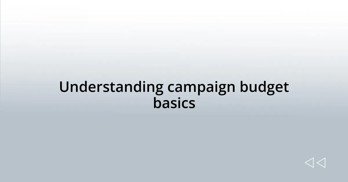 Understanding campaign budget basics
