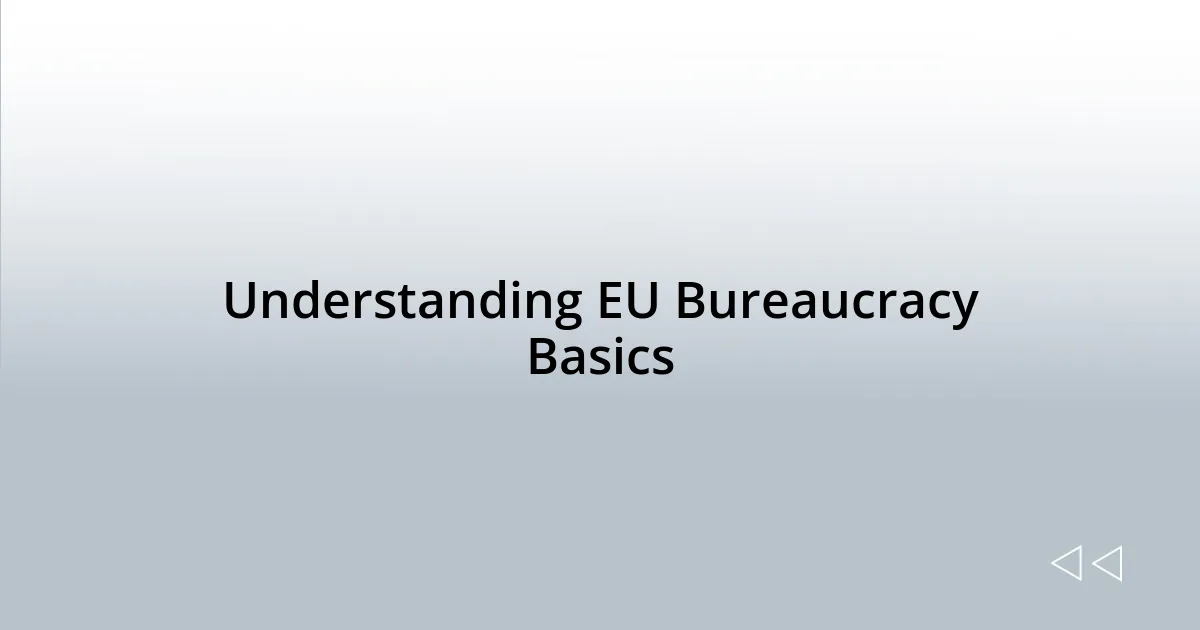 Understanding EU Bureaucracy Basics