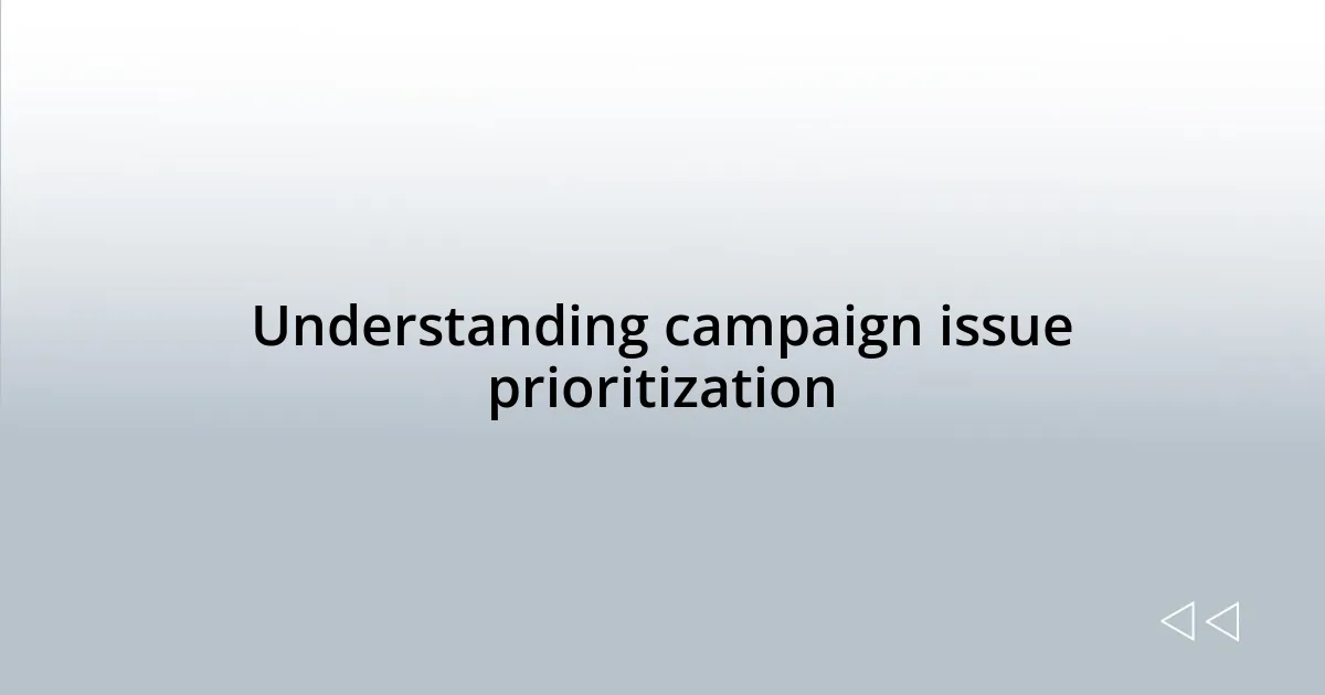 Understanding campaign issue prioritization
