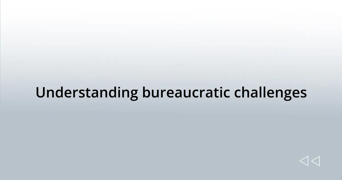 Understanding bureaucratic challenges