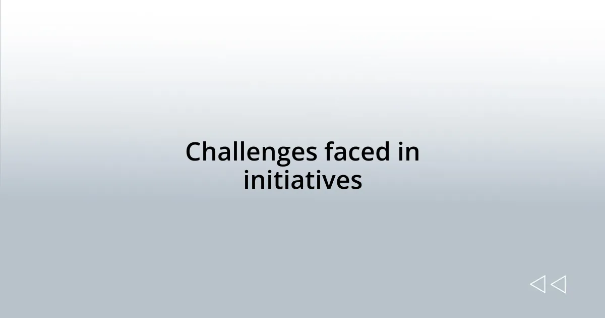Challenges faced in initiatives