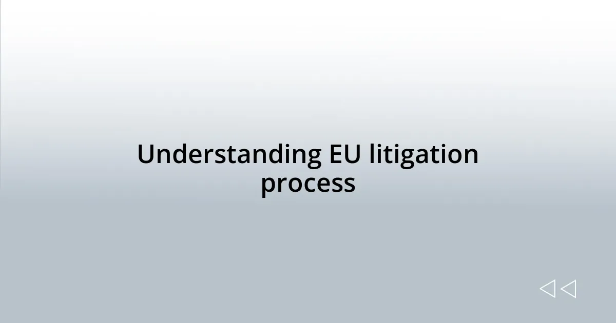 Understanding EU litigation process