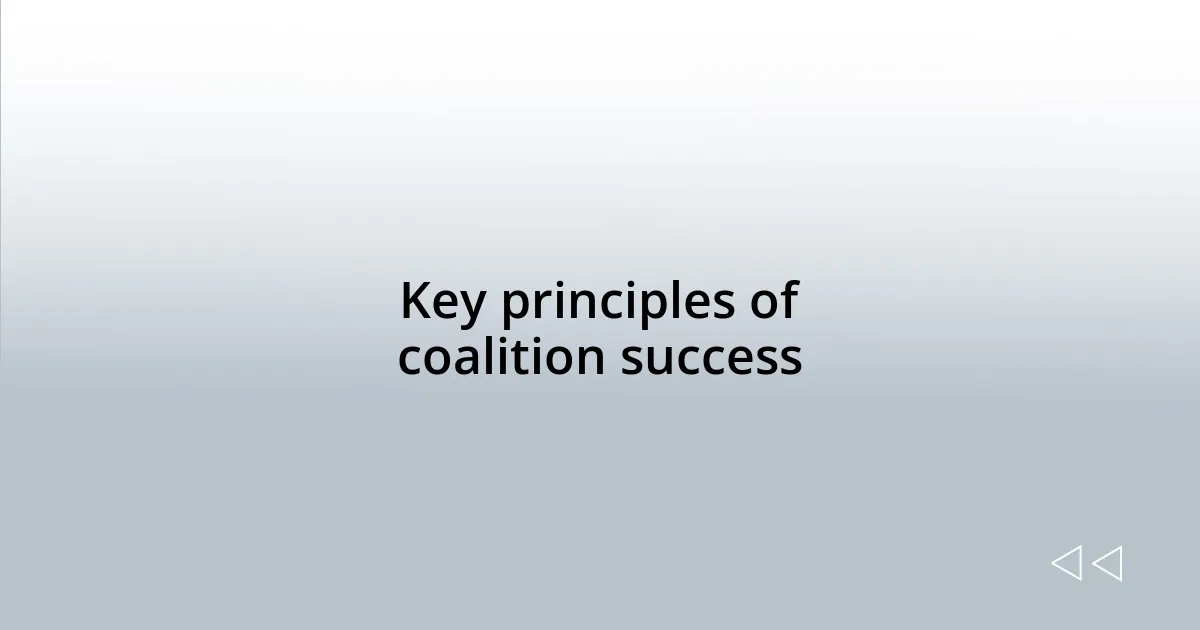 Key principles of coalition success